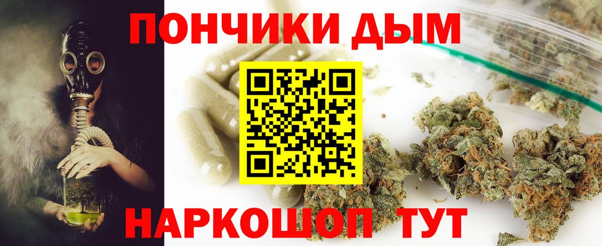 Конопля Калининград